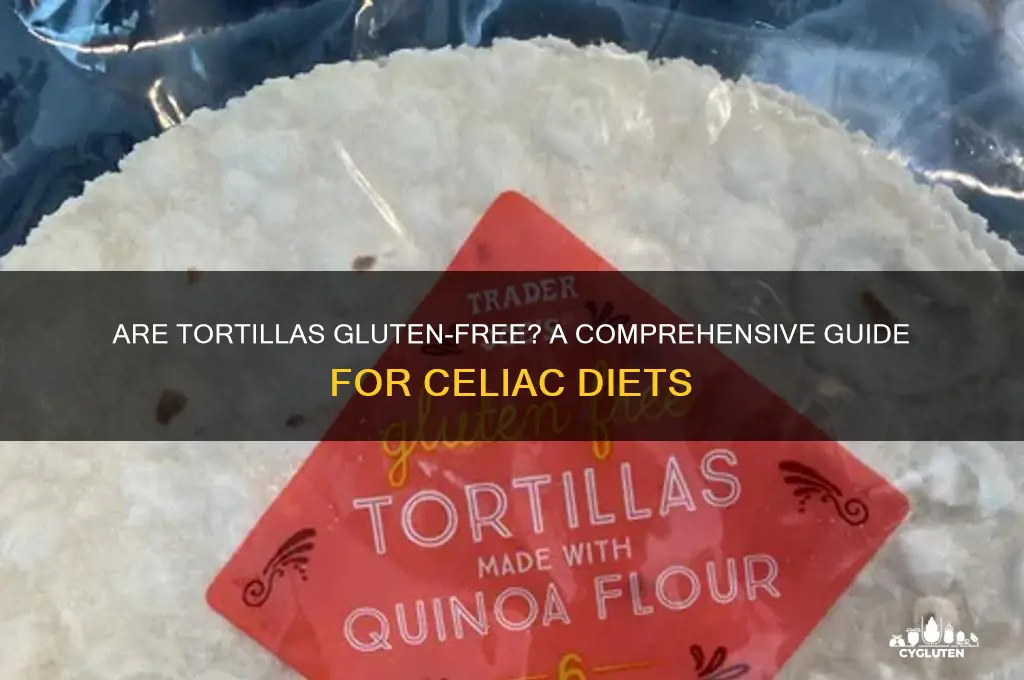 are tortiyahs gluten free