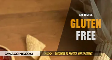Are Tostitos Gluten-Free? A Crunchy Snack Fact Check
