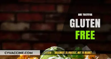 Are Tostitos Gluten-Free? A Crunchy Snack Fact Check