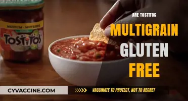 Are Tostitos Multigrain Chips Gluten-Free? A Snack Fact Check