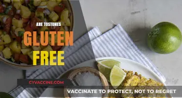 Are Tostones Gluten Free? A Crunchy, Coeliac-Friendly Answer