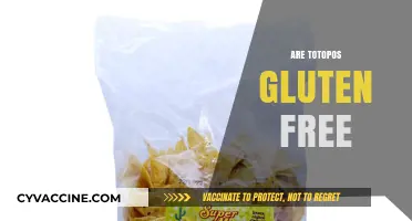 Are Totopos Gluten Free? A Crunchy Snack Fact Check