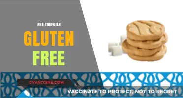 Are Trefoils Gluten-Free? A Guide to Girl Scout Cookies