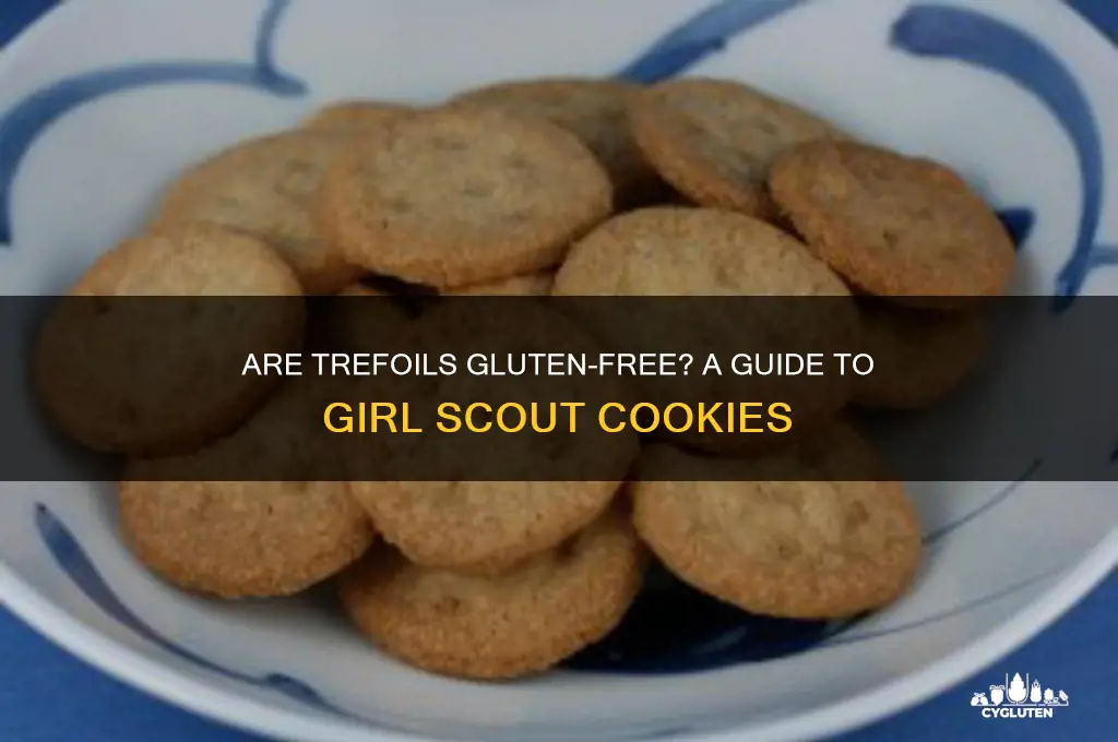 are trefoils gluten free