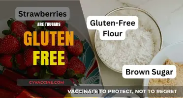 Are Trubars Gluten-Free? A Comprehensive Guide to Their Ingredients