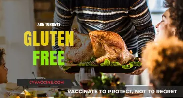 Are Turkeys Gluten Free? A Complete Guide to Safe Eating