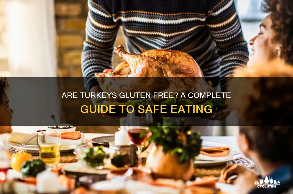 are turkeys gluten free