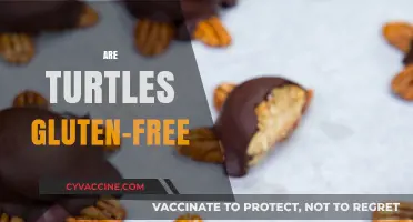 Are Turtles Gluten-Free? Unraveling the Truth About These Reptiles