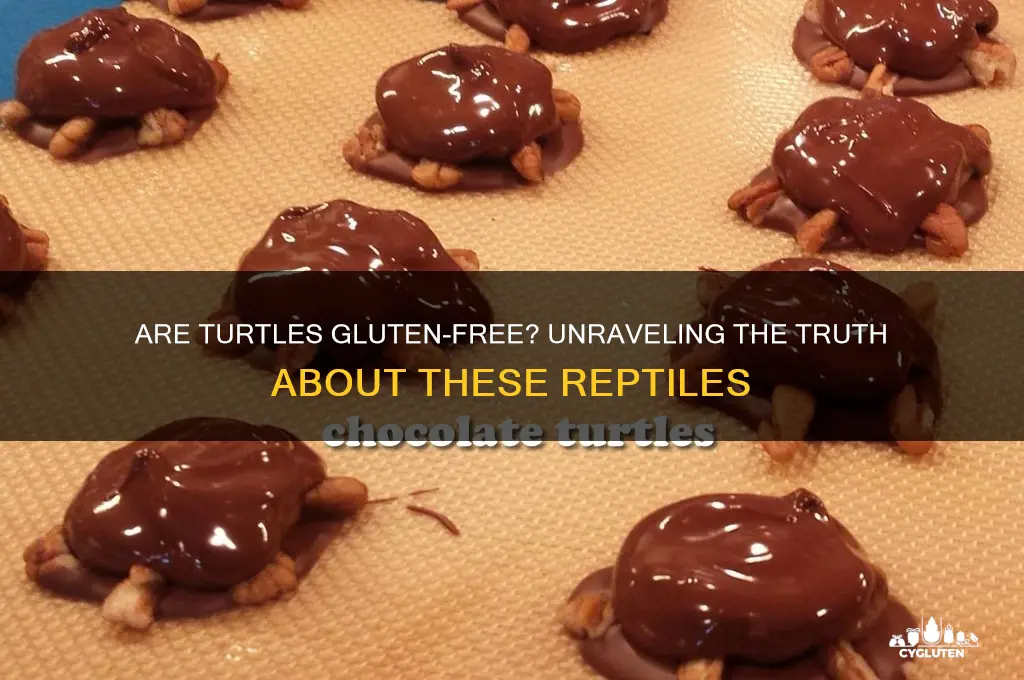 are turtles gluten-free