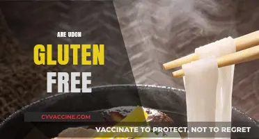 Are Udon Noodles Gluten-Free? A Complete Guide for Dieters