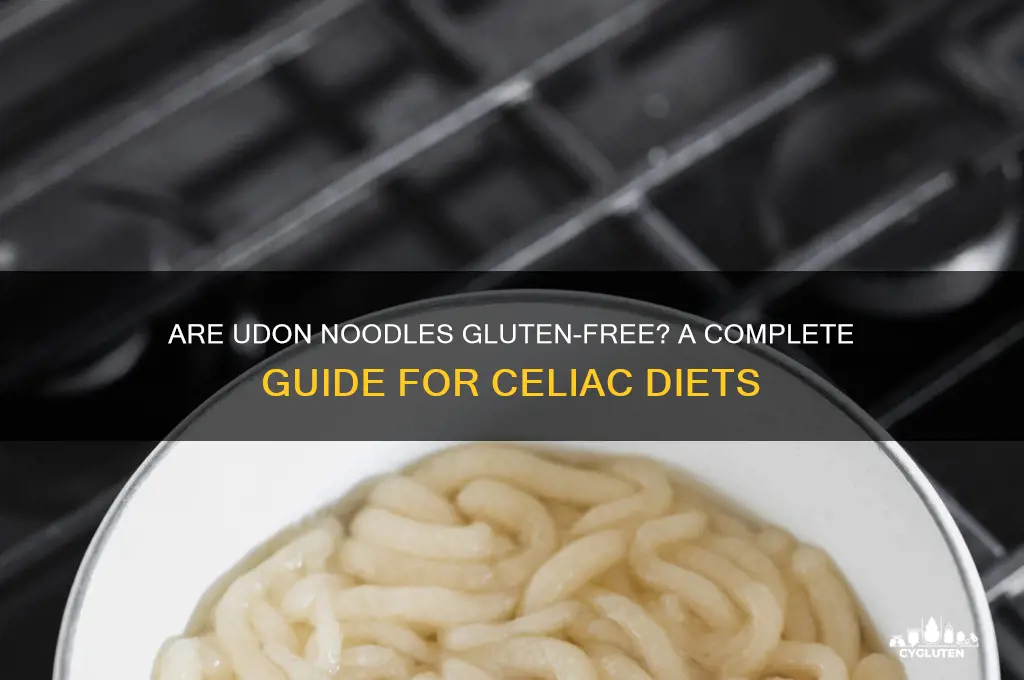 are udon noodles gluten free