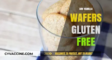 Are Vanilla Wafers Gluten-Free? A Complete Guide for Celiacs