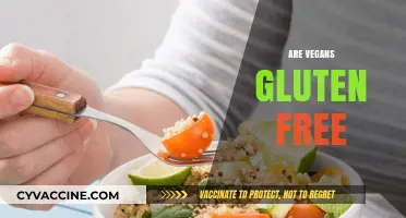 Are Vegans Gluten-Free? Debunking Common Dietary Myths and Facts