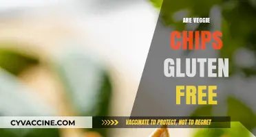 Are Veggie Chips Gluten-Free? A Crunchy Snack Guide