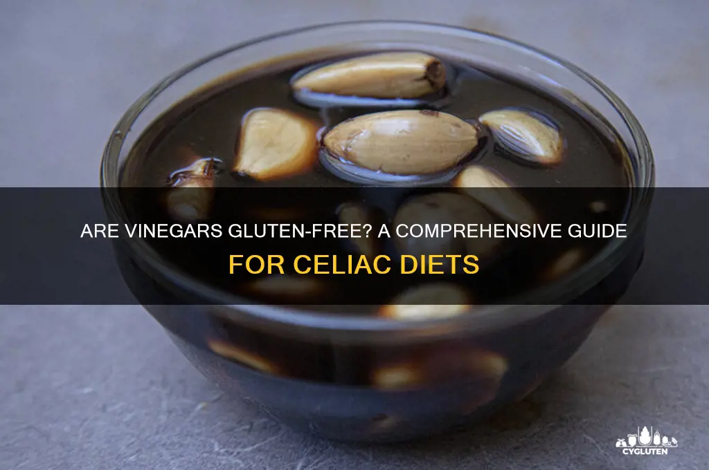 are vinegars gluten free