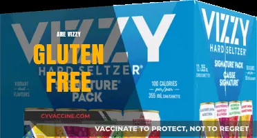Are Vizzy Hard Seltzers Gluten-Free? A Complete Guide