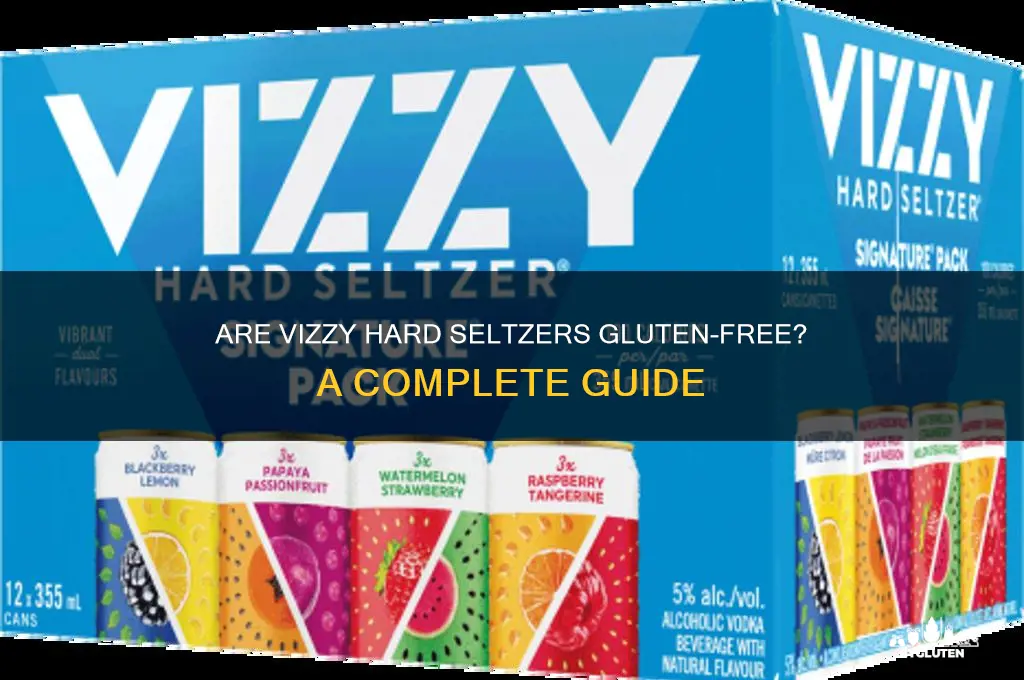 are vizzy gluten free