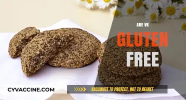 Are VK Gluten-Free? Unraveling the Ingredients for a Safe Snack