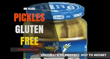 Are Vlasic Pickles Gluten-Free? A Complete Guide for Pickle Lovers