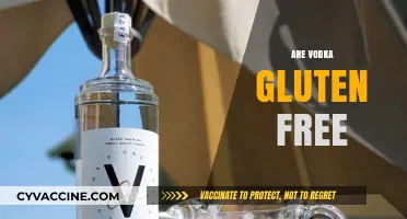 Is Vodka Gluten-Free? Uncovering the Truth for Celiac Drinkers