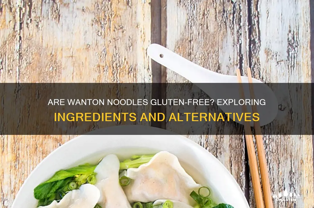are wanton gluten free