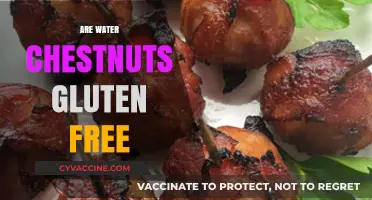 Are Water Chestnuts Gluten-Free? A Nutritional Guide for Celiacs
