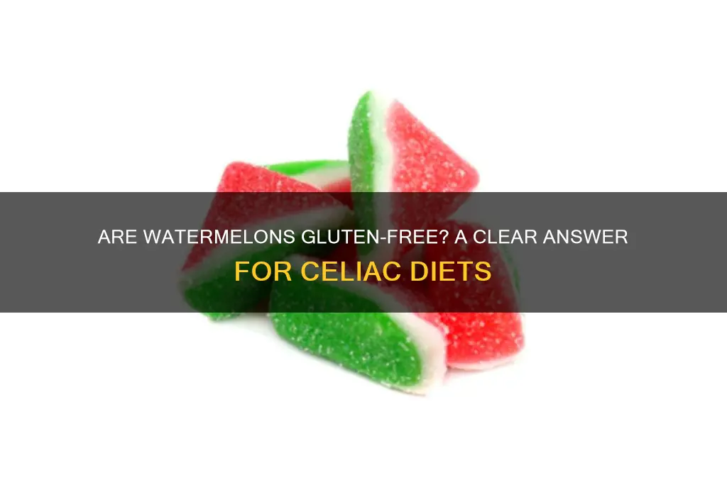 are watermelons gluten free