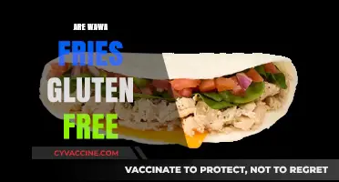 Are Wawa Fries Gluten-Free? A Complete Guide for Celiac Diners