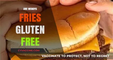 Are Wendy's Fries Gluten-Free? A Complete Guide for Celiac Diners