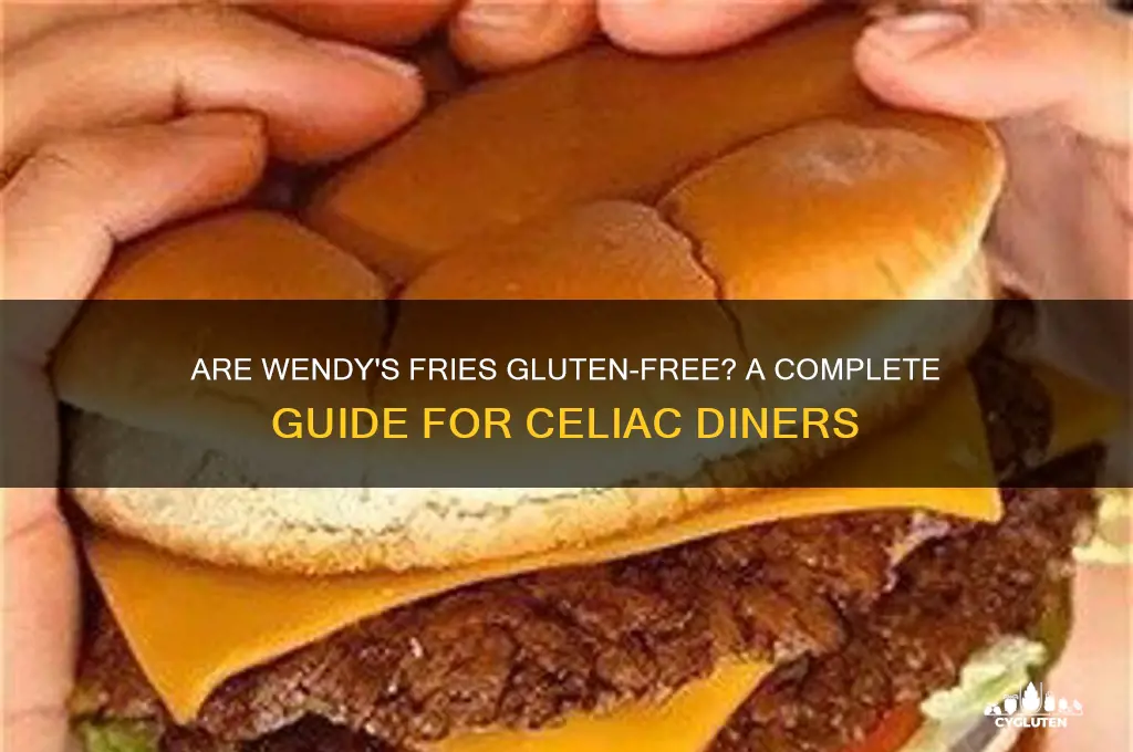 are wendys fries gluten free