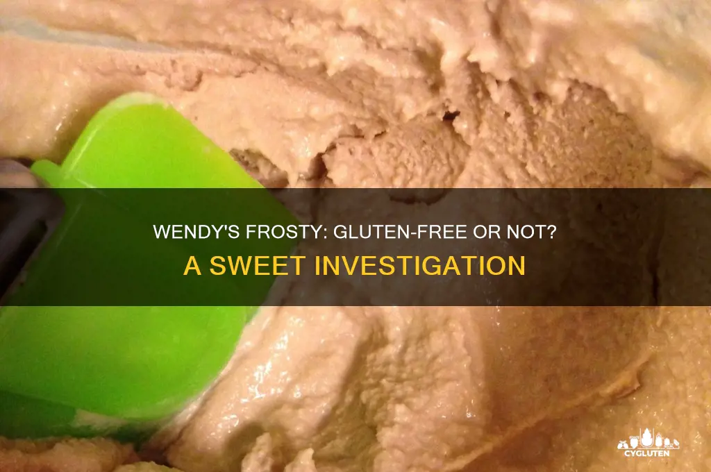 are wendys frostys gluten free