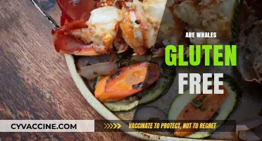 Are Whales Gluten-Free? Unraveling the Myth Behind Marine Mammals