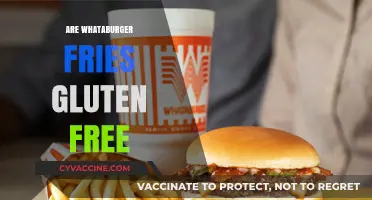 Are Whataburger Fries Gluten-Free? A Complete Guide for Celiac Diners