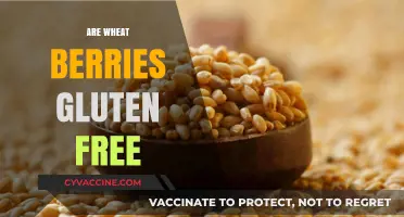 Are Wheat Berries Gluten-Free? Unraveling the Truth for Your Diet
