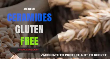 Wheat Ceramides and Gluten: Unraveling the Truth for Sensitive Skin