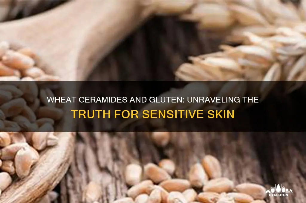 are wheat ceramides gluten free