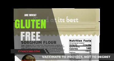 Is Wheat Gluten-Free? Debunking Myths and Understanding the Facts