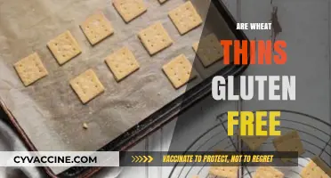 Are Wheat Thins Gluten-Free? Unraveling the Snack's Ingredients Truth