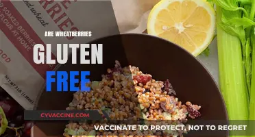 Are Wheatberries Gluten-Free? Unraveling the Truth for a Healthy Diet