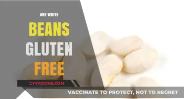 Are White Beans Gluten-Free? A Clear Answer for Your Diet