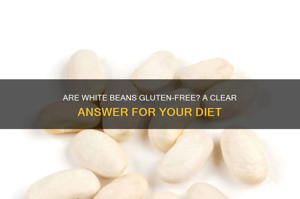 are white beans gluten free