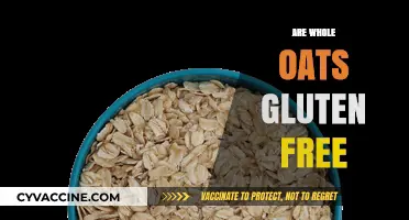 Are Whole Oats Gluten-Free? Unraveling the Truth for Celiacs