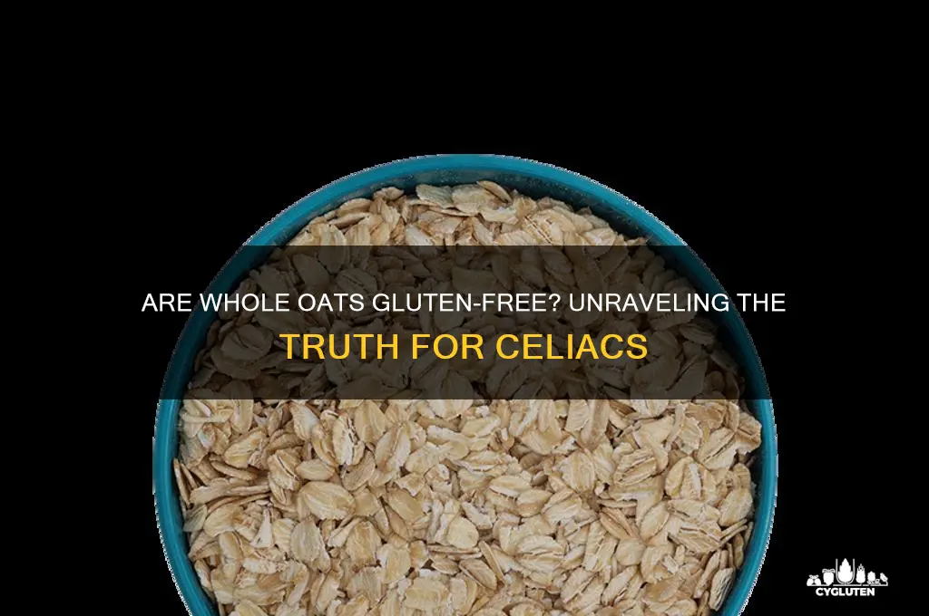 are whole oats gluten free