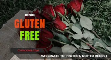 Is Wine Gluten-Free? Uncovering the Truth for Celiac Drinkers