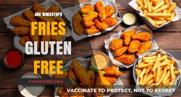 Are Wingstop's Fries Gluten-Free? A Complete Guide for Celiacs