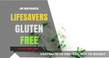 Are Wintergreen Lifesavers Gluten-Free? A Comprehensive Guide