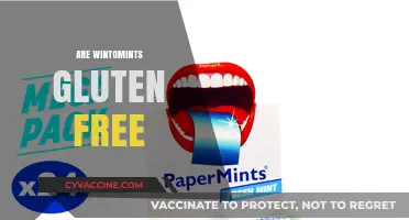 Are Winterfresh Mints Gluten-Free? A Comprehensive Guide to Ingredients