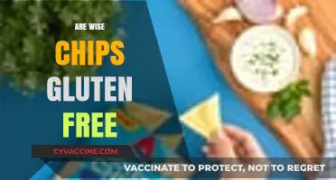 Are Wise Chips Gluten-Free? A Snack Lover's Guide to Ingredients