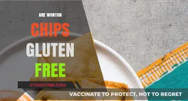 Are Wonton Chips Gluten-Free? A Crunchy Snack Fact Check