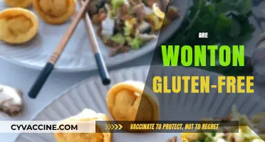 Are Wontons Gluten-Free? Exploring Ingredients and Safe Options
